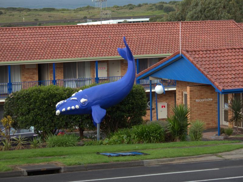 Blue Whale Motor Inn&Apartments Warrnambool Extérieur photo