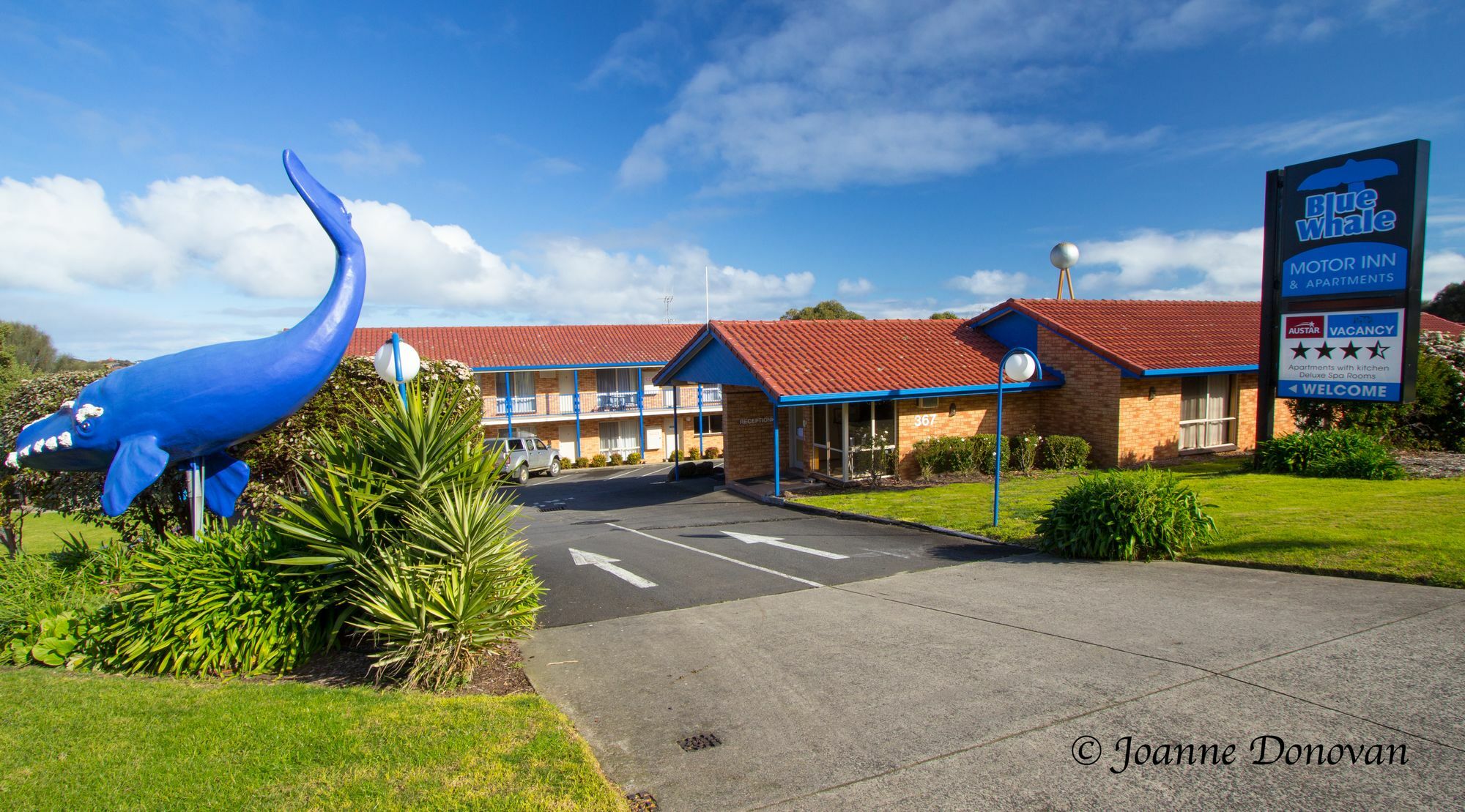 Blue Whale Motor Inn&Apartments Warrnambool Extérieur photo