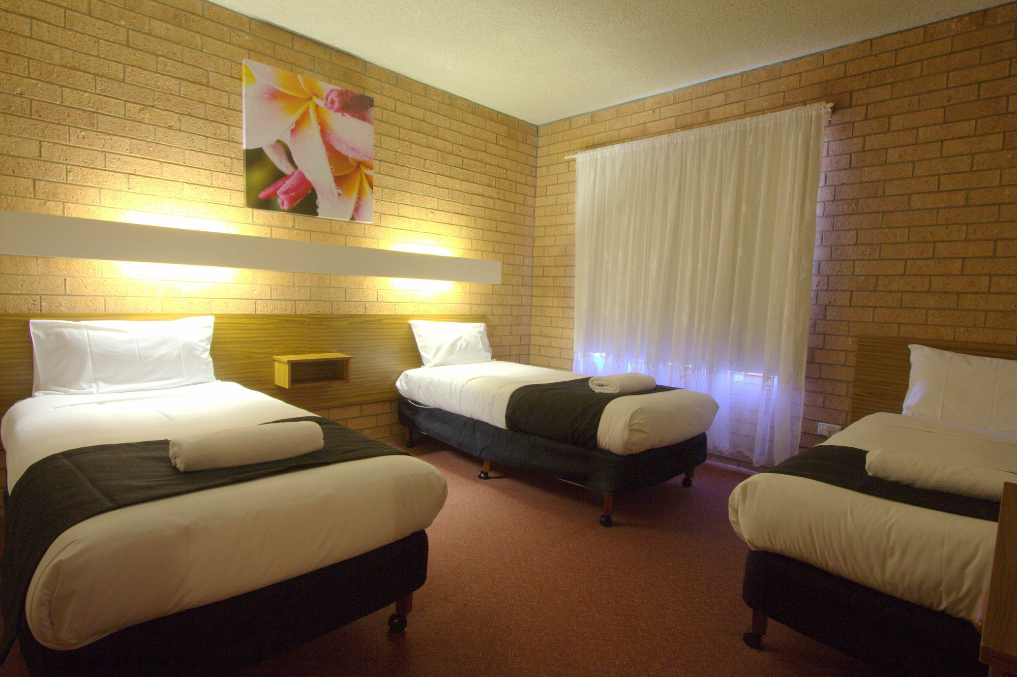 Blue Whale Motor Inn&Apartments Warrnambool Extérieur photo